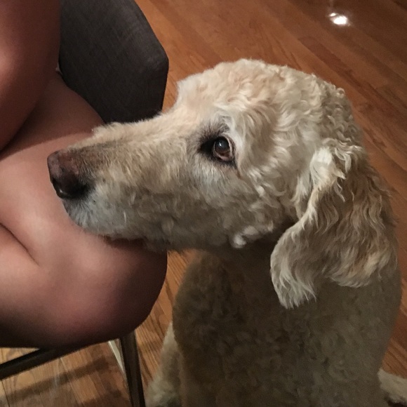 Meet your Posher, Kathleen - Picture 1 of 1